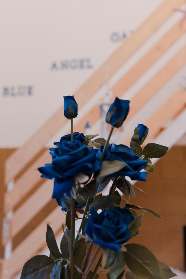 Blue Angel Oak - Apartment Bari Bagian luar foto